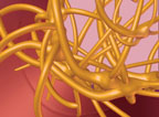 Platelet aggregation