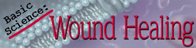 Basic Science banner
